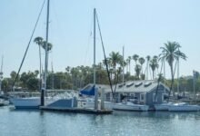 dustin hadley wealth discovery
