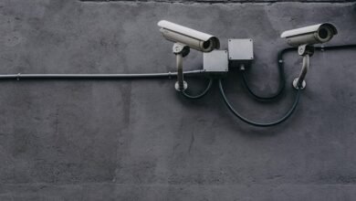 data security hotline numbers